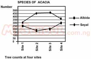 The total number of acacia albida in the four sites is approximately